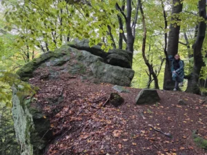Fotografia z galerii "Beskid Niski".