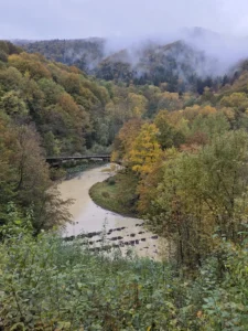 Fotografia z galerii "Beskid Niski".