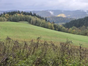 Fotografia z galerii "Beskid Niski".