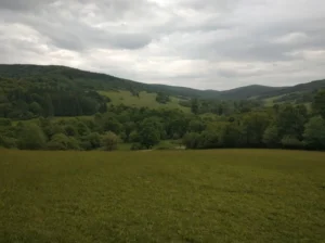 Fotografia z galerii "Beskid Niski".