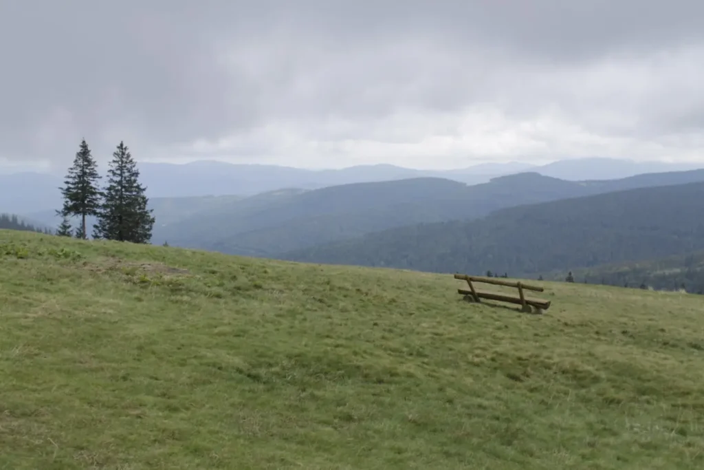 Fotografia z galerii "Beskid Żywiecki".