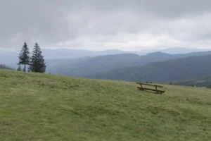 Fotografia z galerii "Beskid Żywiecki".
