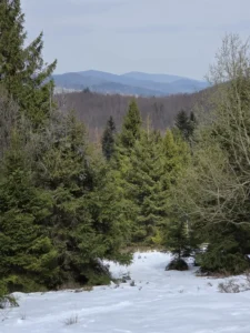Fotografia z galerii "Beskid Żywiecki".