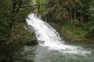 Fotografia z galerii "Beskid Żywiecki".