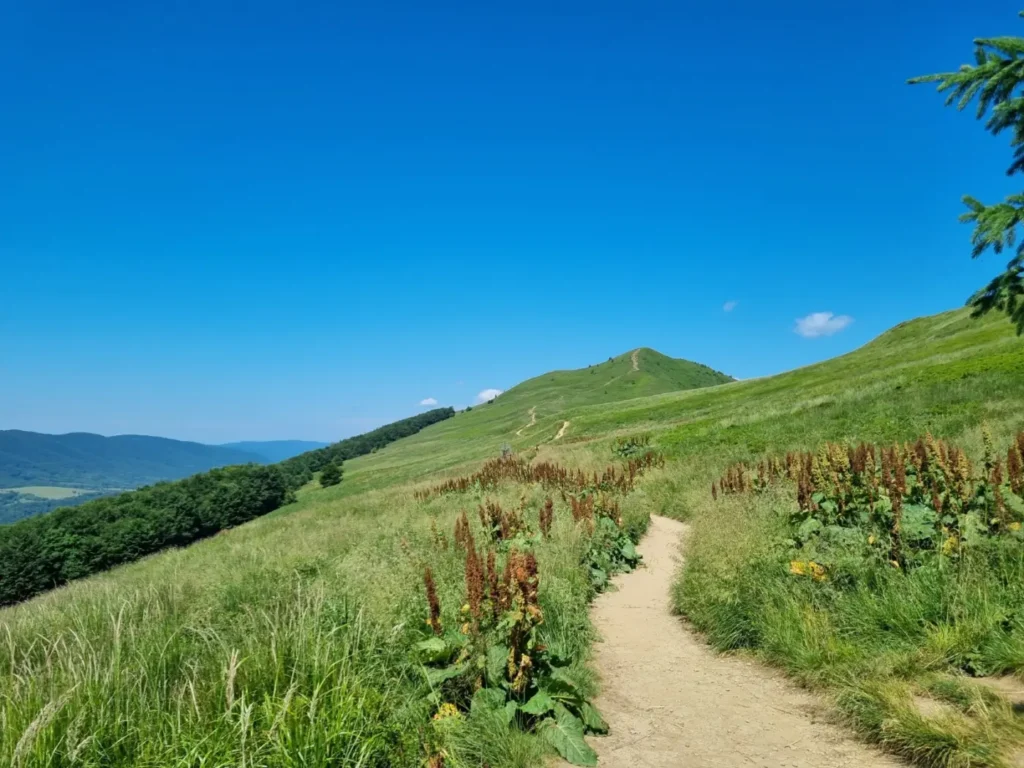 Fotografia z galerii "Bieszczady".