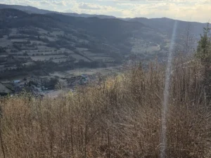 Fotografia związana z aktualnością „Krzyż Grunwaldzki w Ochotnicy Dolnej”.