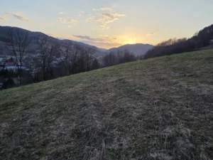 Fotografia związana z aktualnością „Krzyż Grunwaldzki w Ochotnicy Dolnej”.