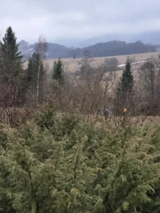 Fotografia związana z aktualnością „Kwietniowe Bieszczady”.