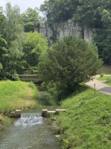Fotografia z galerii "Ojcowski Park Narodowy".
