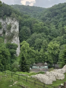 Fotografia z galerii "Ojcowski Park Narodowy".