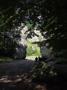 Fotografia z galerii "Ojcowski Park Narodowy".