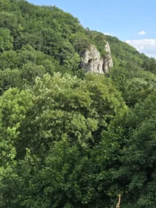 Fotografia z galerii "Ojcowski Park Narodowy".