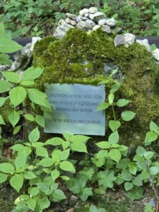 Fotografia z galerii "Ojcowski Park Narodowy".