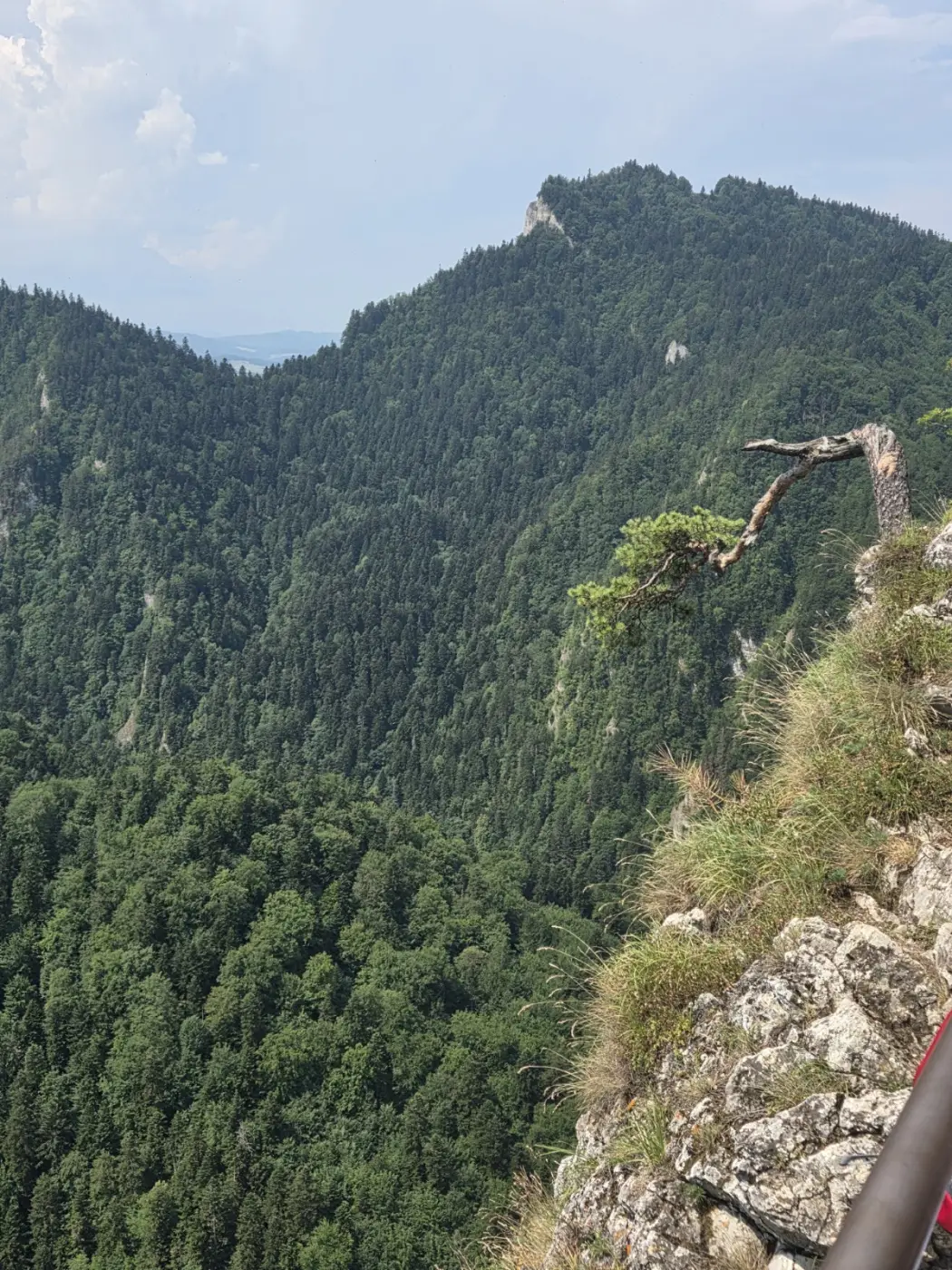 Fotografia z galerii "Pieniny".