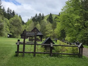 Fotografia związana z aktualnością „Turbacz z Koninek”.
